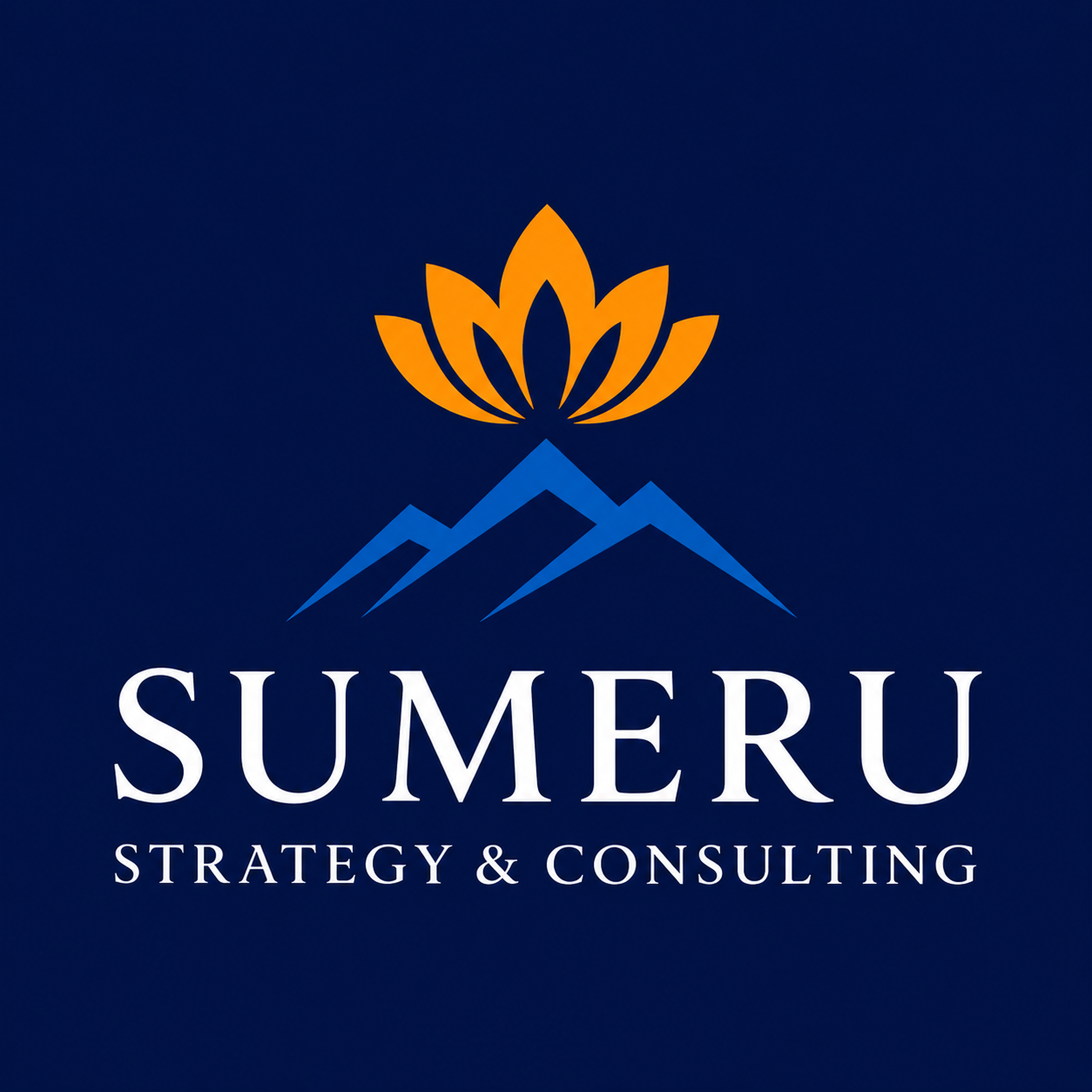 sumeru strategy consulting 2560